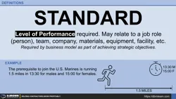 Definition - Standard Thumbnail