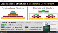 Organizational Structures and Leadership Development Thumbnail