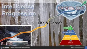 Intelligence Progression from Fluid to Crystallized Thumbnail